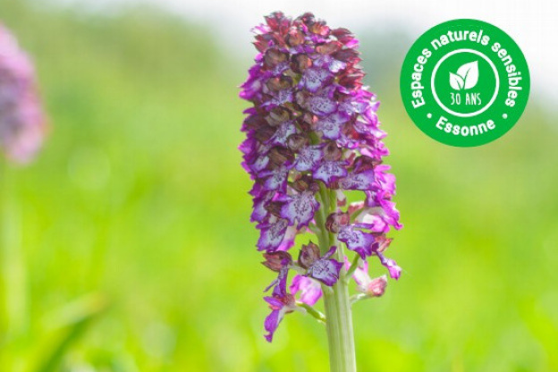 Inauguration du Domaine départemental des Buys 