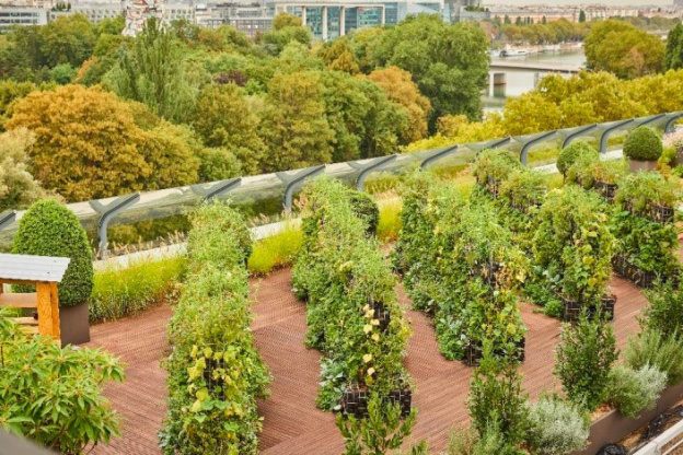 Une ferme potagère installée sur le toit de Parly 2 pour les visiteurs