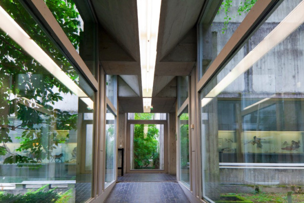 Visites guidées et animations pour toute la famille au Musée de Préhistoire d'Ile de France