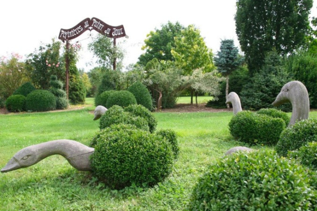 Rendez-vous aux Jardins 2019 au jardin-pépinière du Point-du-Jour