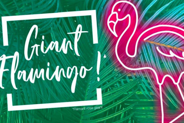 Un flamant rose géant débarque à Vill’Up