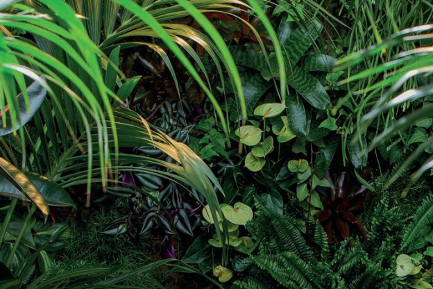 Yoga, cuisine et verdure à l'Appartement #MerciLesPlantes