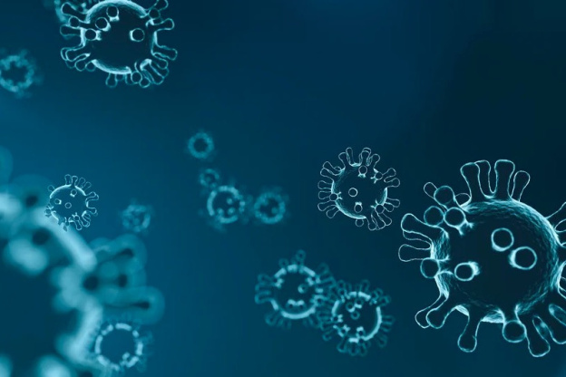 Le Coronavirus a infecté 4,4% de la population française, selon l'Institut Pasteur