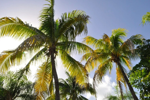 La finale de Koh Lanta sera à nouveau diffusée en deux parties