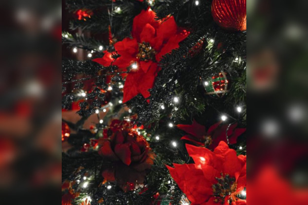 Menu de Noël 2020 et du Nouvel An 2021 du Sinner à emporter