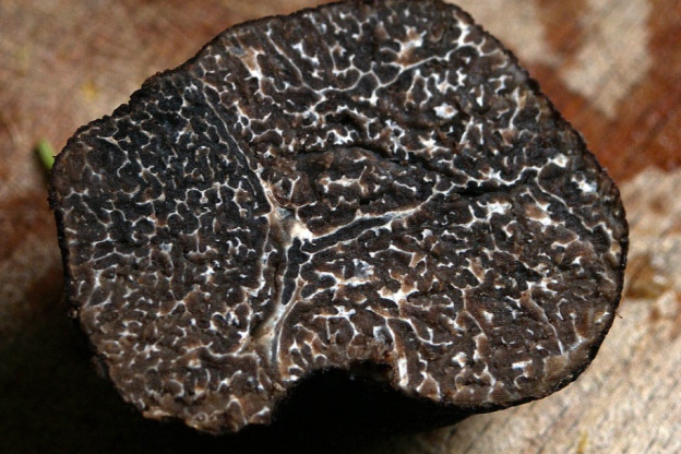 Le marché de la truffe noire revient à Courbevoie