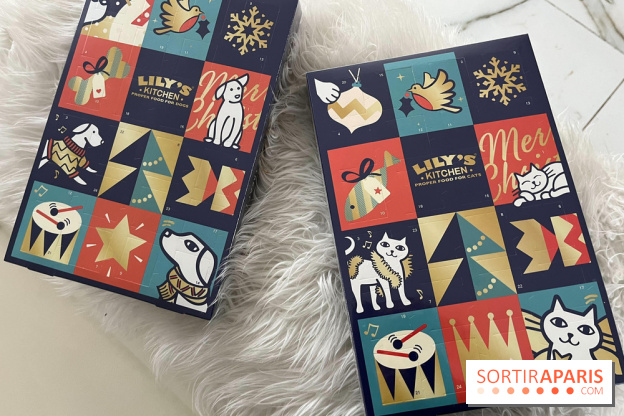 Les calendriers de l'Avent 2023 pour chiens et chats de Lily's Kitchen