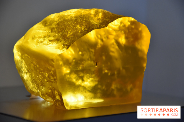 Jurassic World, nos photos de l'exposition à la Cité du Cinéma