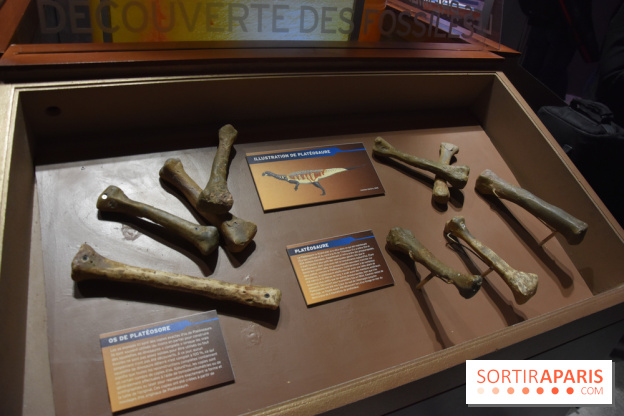 Jurassic World, nos photos de l'exposition à la Cité du Cinéma