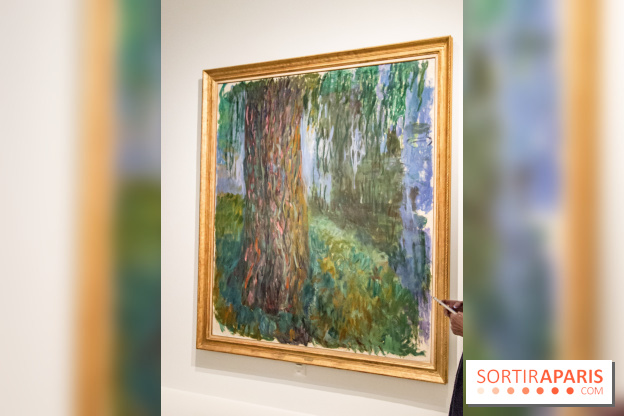 Les Nymphéas et artistes abstraits au Musée de l'Orangerie