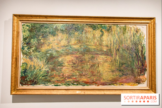 Les Nymphéas et artistes abstraits au Musée de l'Orangerie