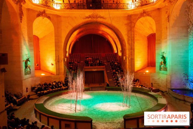 Nature, le spectacle équestre à Chantilly