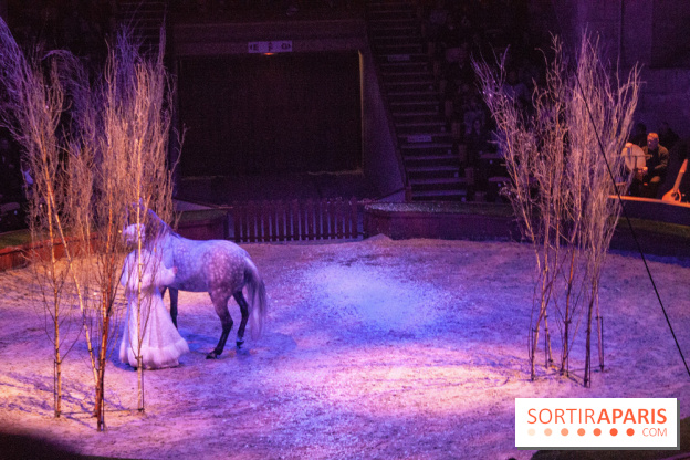 Nature, le spectacle équestre à Chantilly