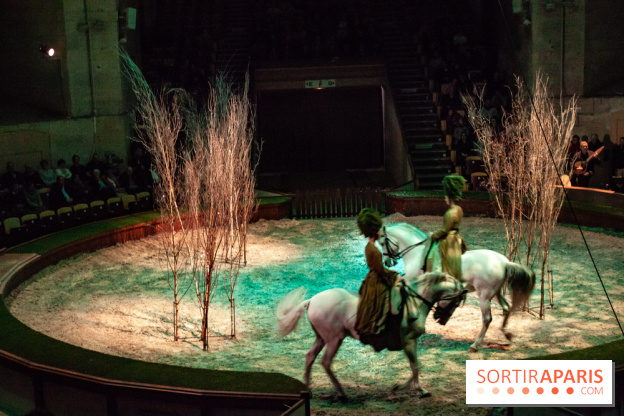 Nature, le spectacle équestre à Chantilly