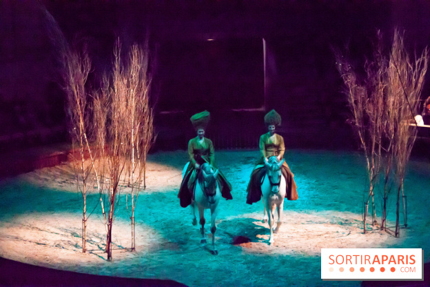 Nature, le spectacle équestre à Chantilly