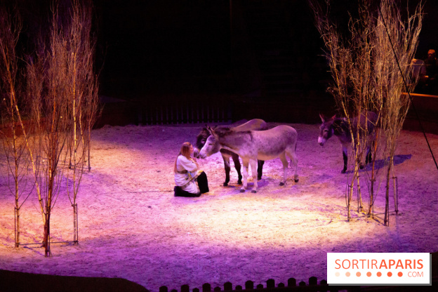 Nature, le spectacle équestre à Chantilly
