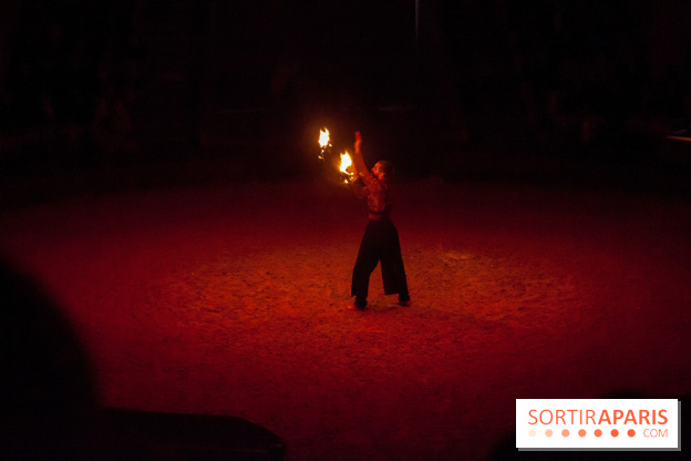 Nature, le spectacle équestre à Chantilly