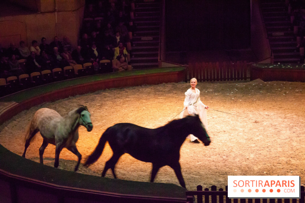 Nature, le spectacle équestre à Chantilly