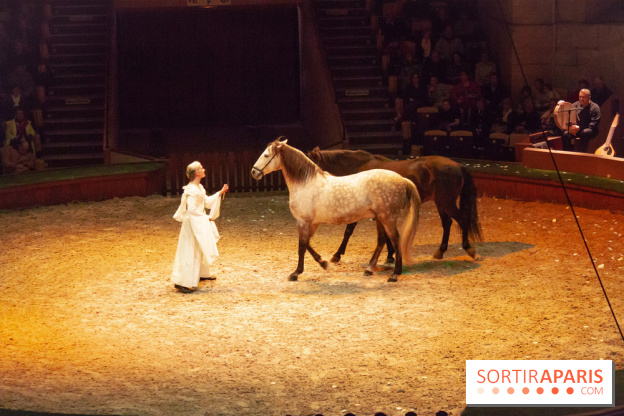 Nature, le spectacle équestre à Chantilly