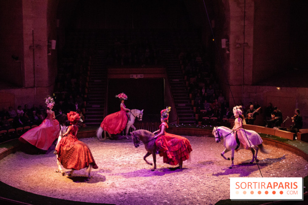 Nature, le spectacle équestre à Chantilly