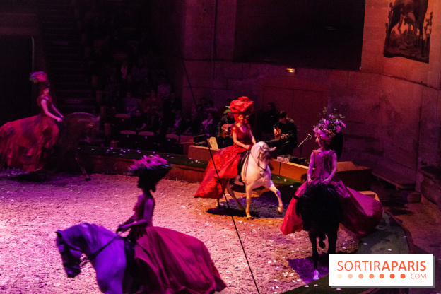 Nature, le spectacle équestre à Chantilly