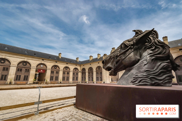 Nature, le spectacle équestre aux Grandes Ecuries du Domaine de Chantilly