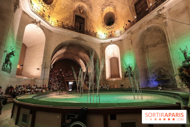 Nature, le spectacle équestre aux Grandes Ecuries du Domaine de Chantilly