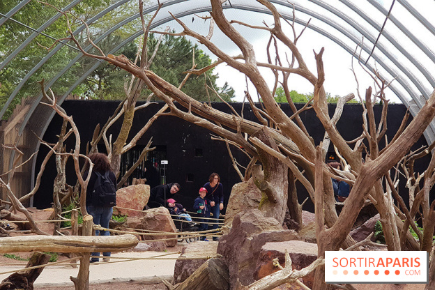 Zoo de Thoiry 2018 : les photos