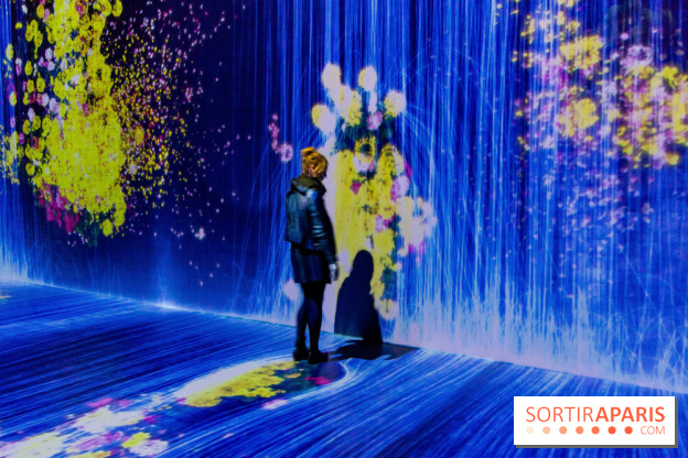 Teamlab : au delà des limites à la Villette, les photos