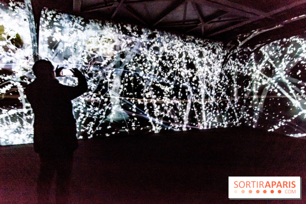 Teamlab : au delà des limites à la Villette, les photos