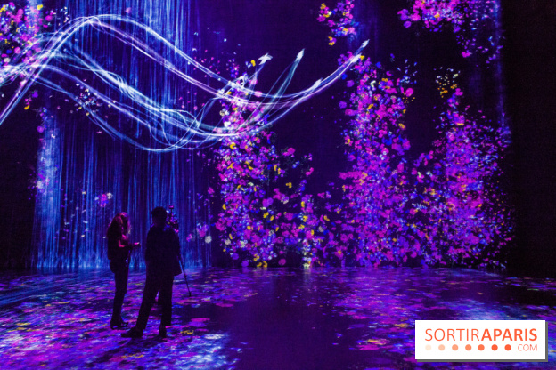 Teamlab : au delà des limites à la Villette, les photos