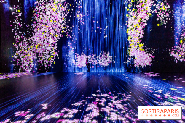 Teamlab : au delà des limites à la Villette, les photos