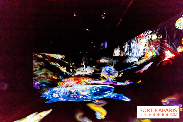 Teamlab : au delà des limites à la Villette, les photos