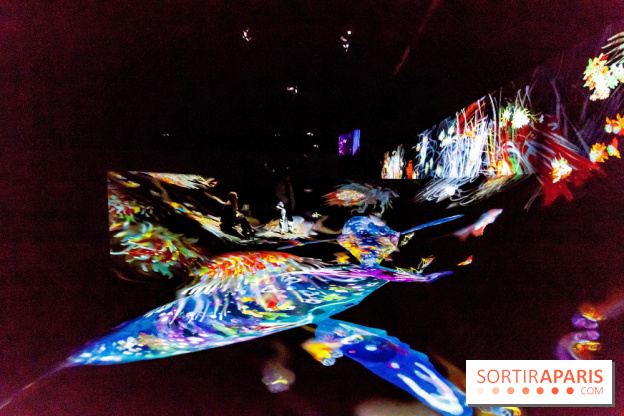 Teamlab : au delà des limites à la Villette, les photos