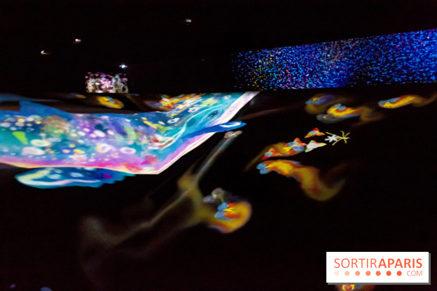 Teamlab : au delà des limites à la Villette, les photos