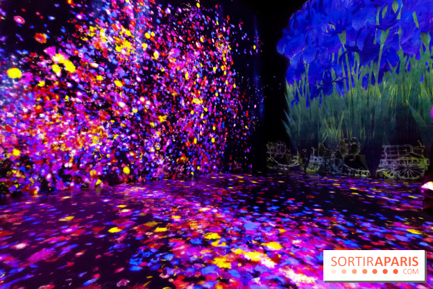 Teamlab : au delà des limites à la Villette, les photos