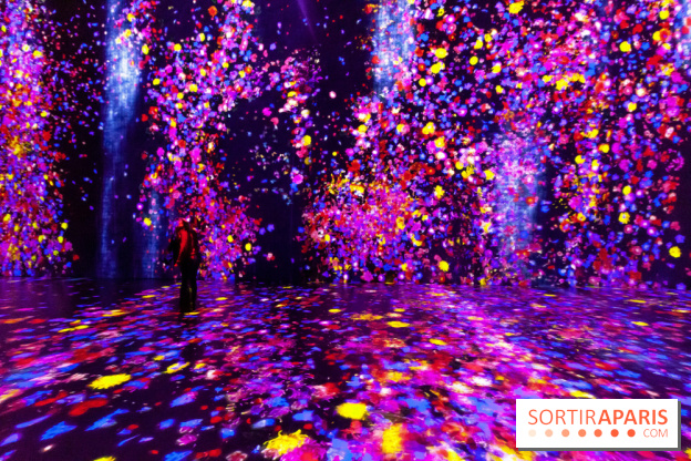 Teamlab : au delà des limites à la Villette, les photos