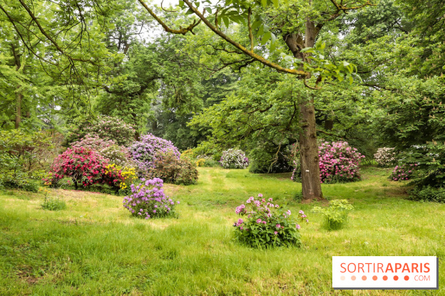 L'Arboretum de Versailles - Chevreloup