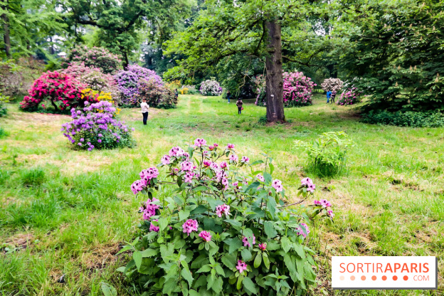 L'Arboretum de Versailles - Chevreloup