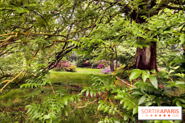 L'Arboretum de Versailles - Chevreloup
