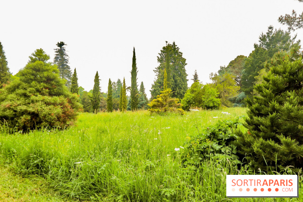 L'Arboretum de Versailles - Chevreloup