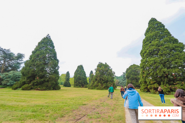 L'Arboretum de Versailles - Chevreloup