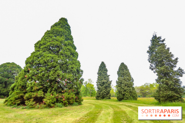 L'Arboretum de Versailles - Chevreloup