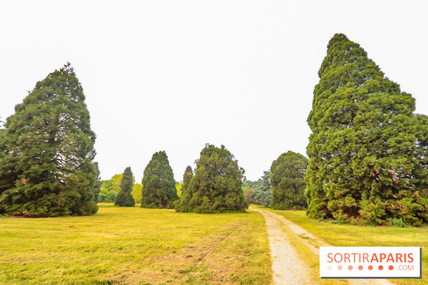 L'Arboretum de Versailles - Chevreloup