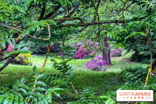 L'Arboretum de Versailles - Chevreloup