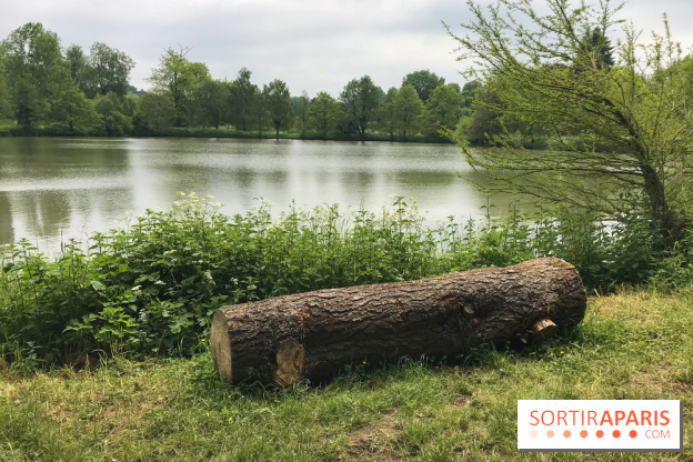 L'Arboretum de Versailles - Chevreloup