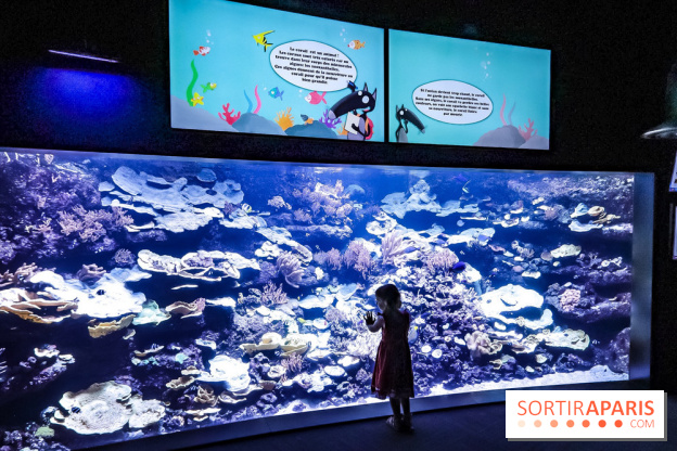 Loup préserve les océans à l'Aquarium de Paris, les photos