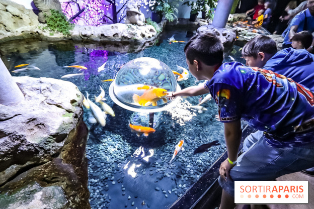 Loup préserve les océans à l'Aquarium de Paris, les photos