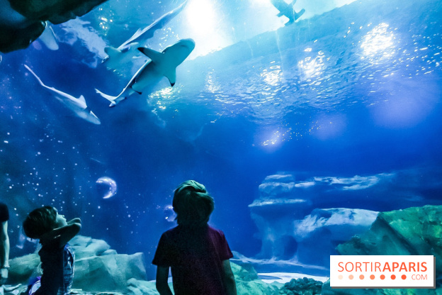 Loup préserve les océans à l'Aquarium de Paris, les photos