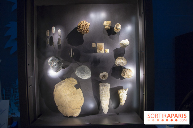 Un T-Rex à Paris : les photos